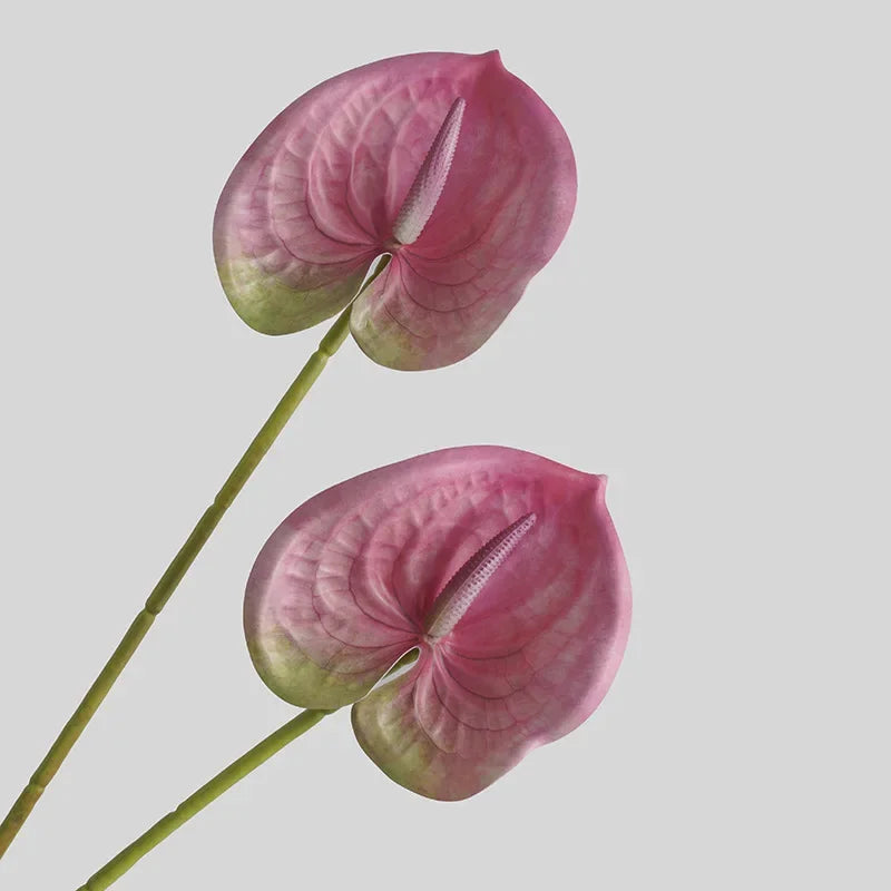 Red Palm Wedding Decor Plant