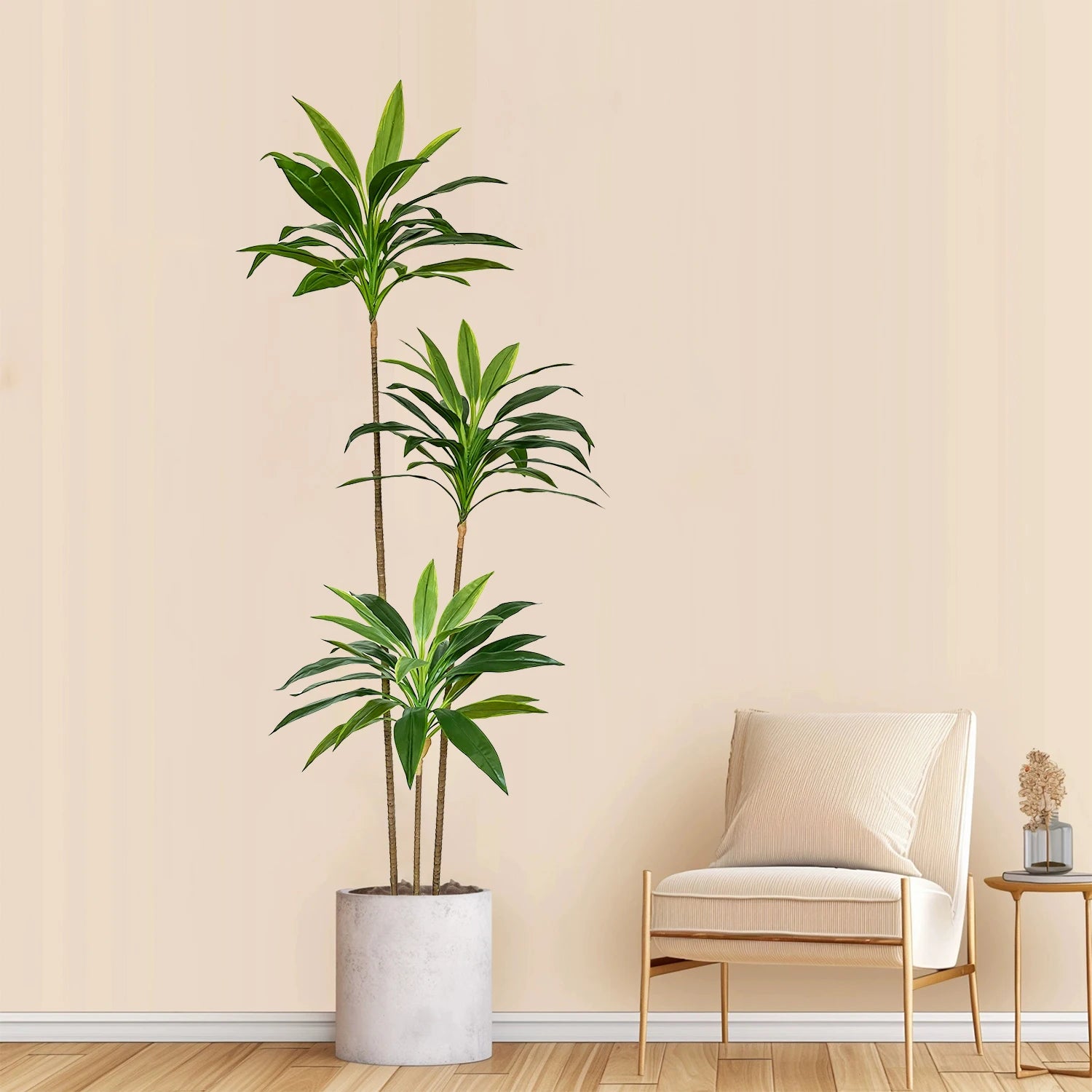 RealTouch Dracaena Plant