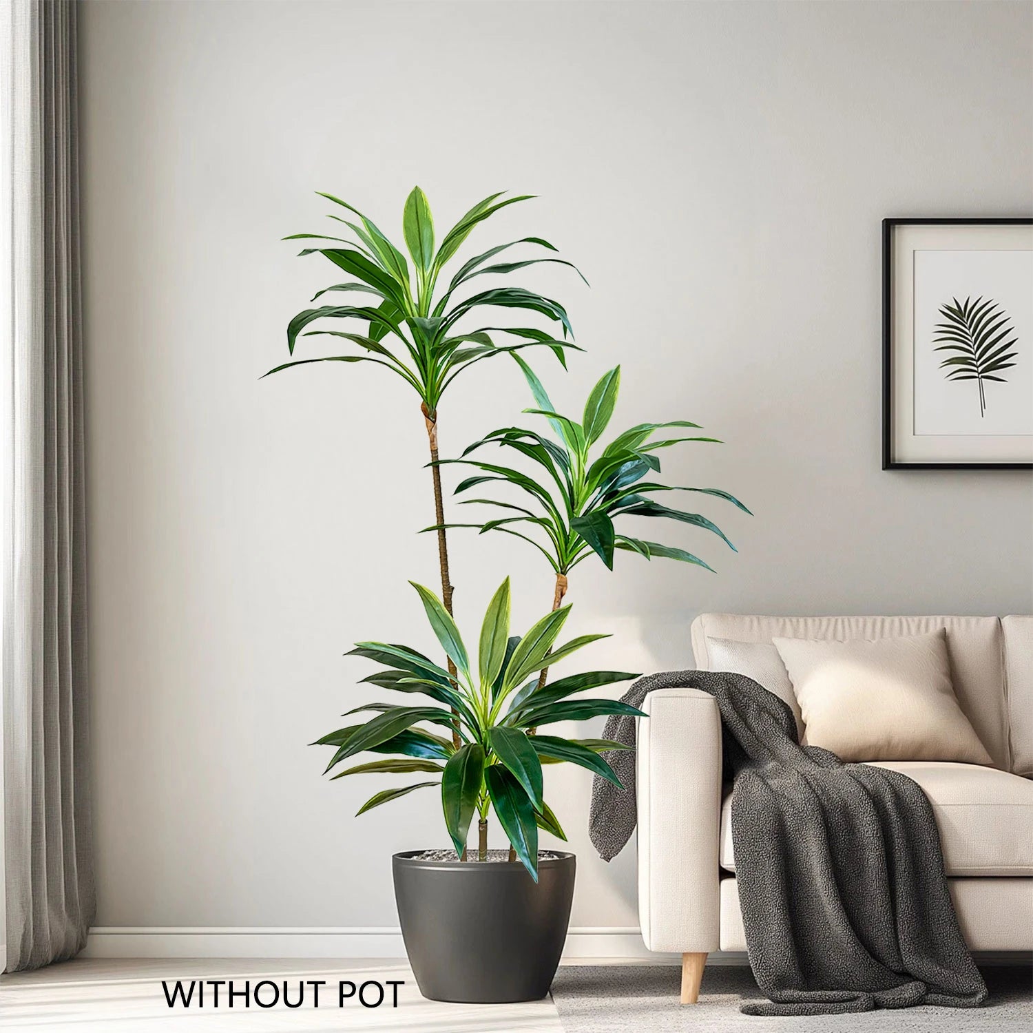 RealTouch Dracaena Plant