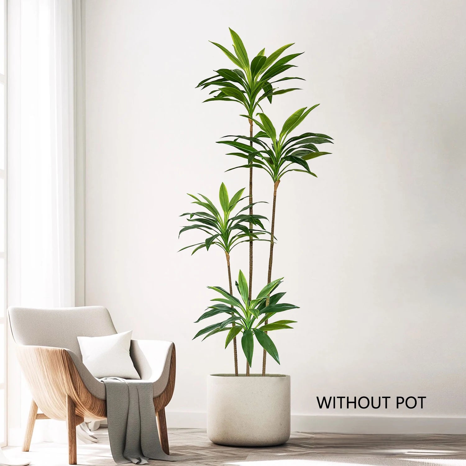 RealTouch Dracaena Plant
