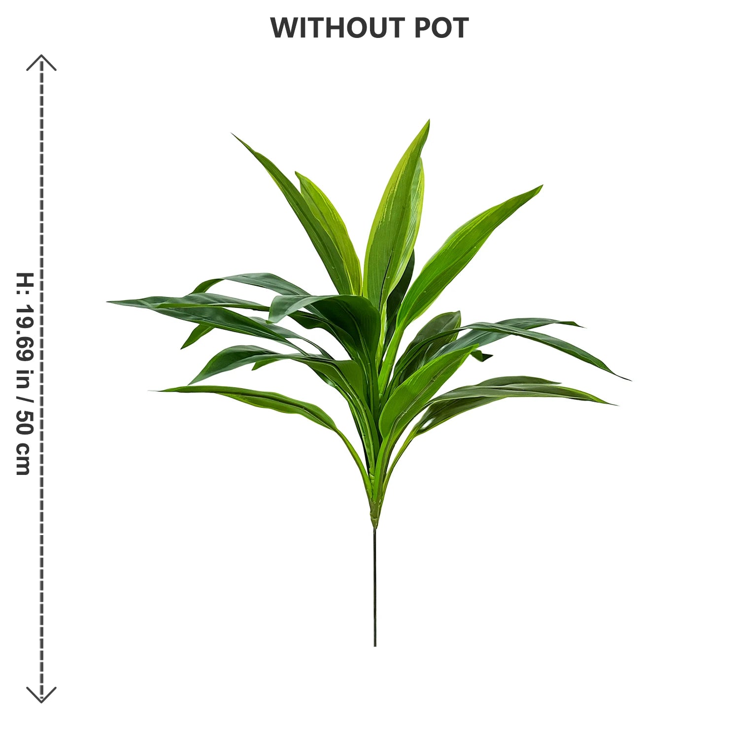 RealTouch Dracaena Plant