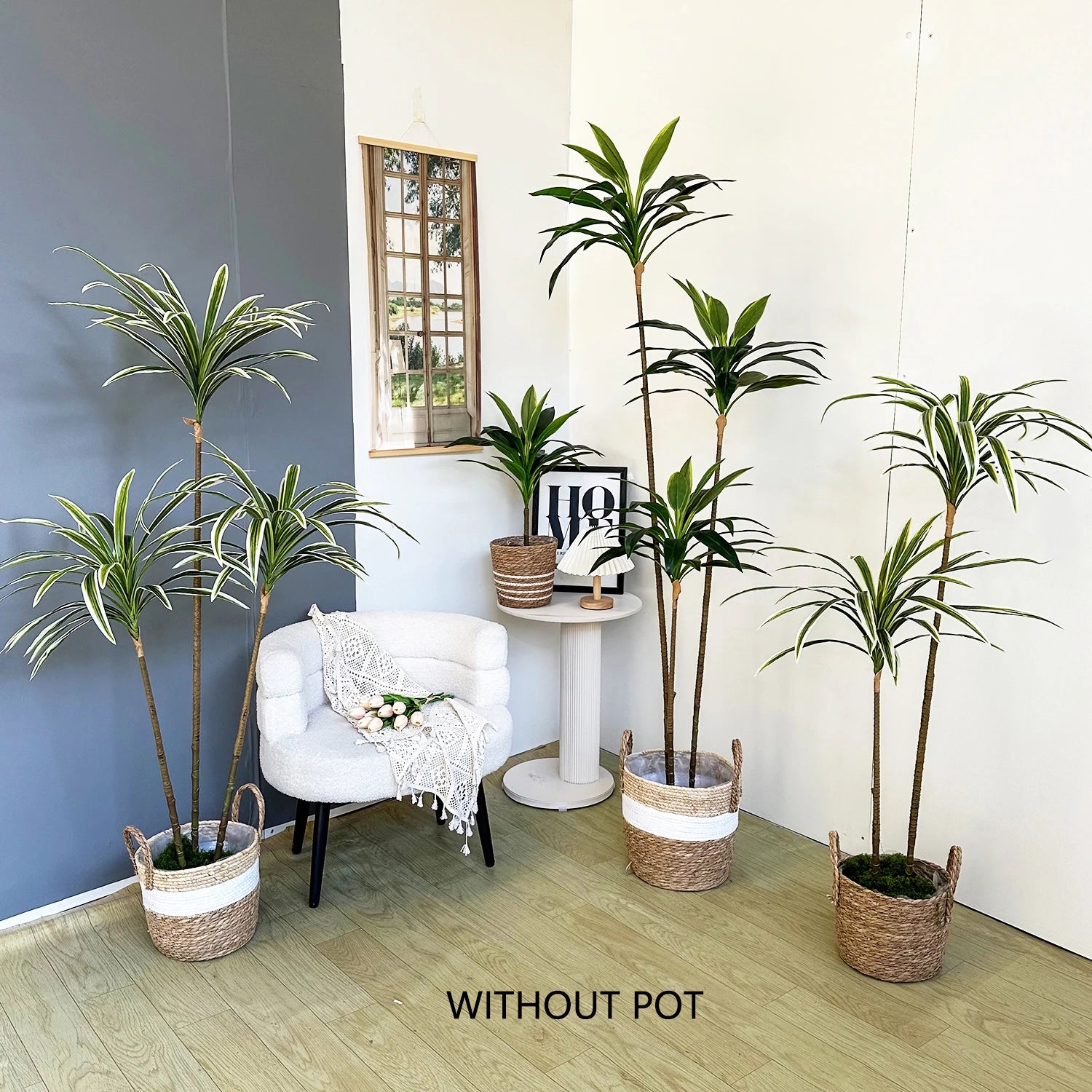 RealTouch Dracaena Plant